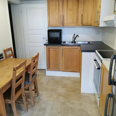 Two Apartament Cozy And Nice Nesbyen